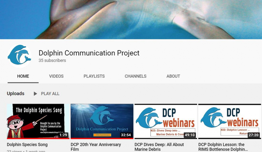 Webinars Return September 2020! – Dolphin Communication Project