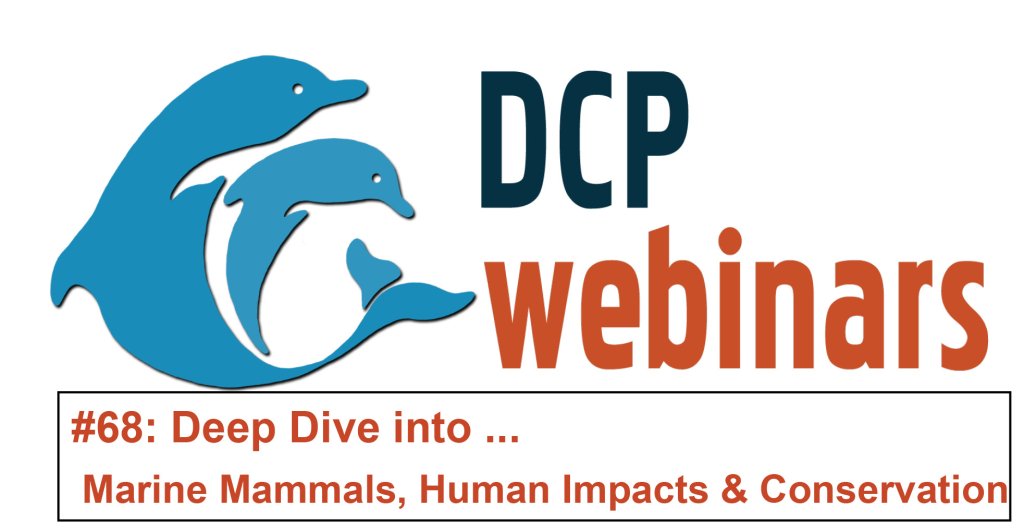 Human impacts – Dolphin Communication Project