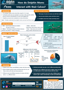 research paper topics about dolphins